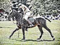 Norfolk Hunt Polo 09.18.2011